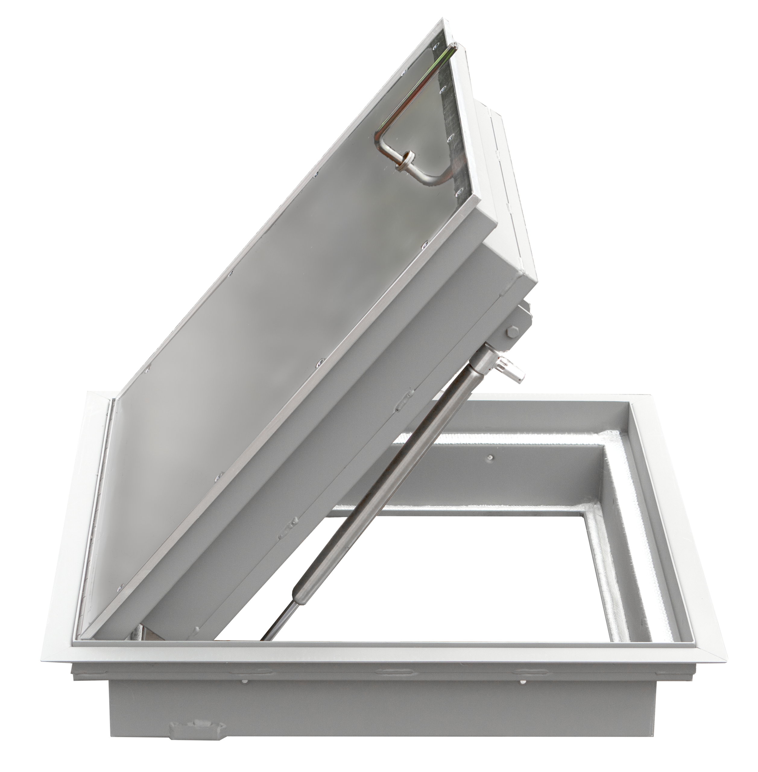 Floor door FHD2RAR2624 recessed door with removable tool open